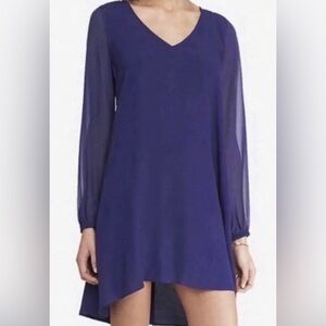 Express Navy Blue Dress with Sheet Sleeves